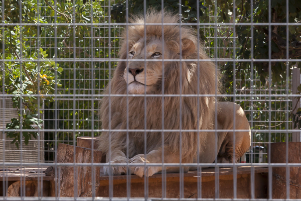 View of Fikardou Ancient Village