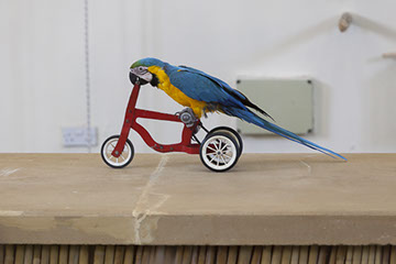 View of Fikardou Ancient Village