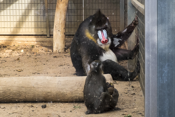 View of Fikardou Ancient Village
